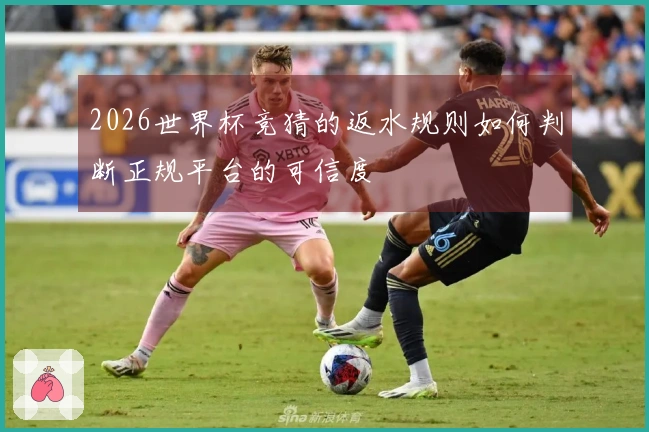 2026世界杯竞猜的返水规则如何判断正规平台的可信度