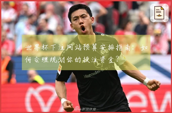 世界杯下注网站预算安排指南：如何合理规划你的投注资金？