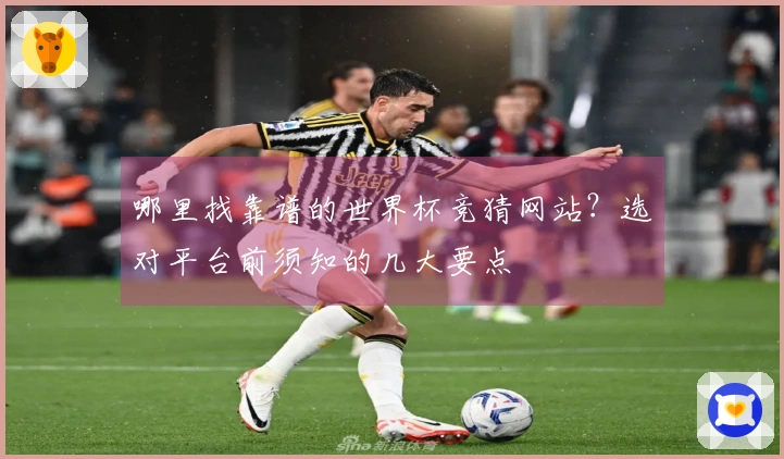 哪里找靠谱的世界杯竞猜网站？选对平台前须知的几大要点