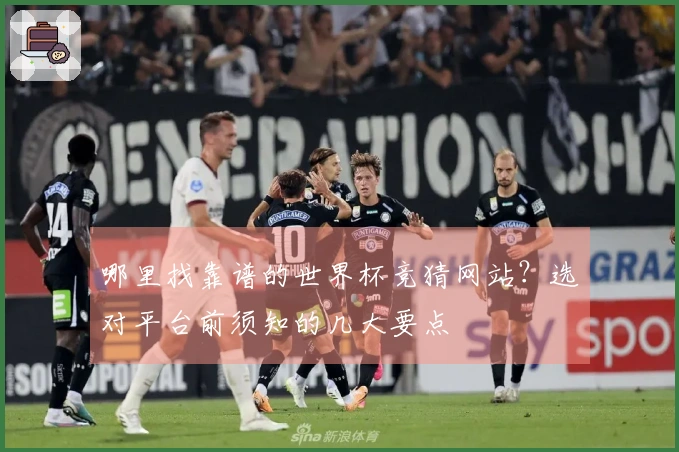 哪里找靠谱的世界杯竞猜网站？选对平台前须知的几大要点