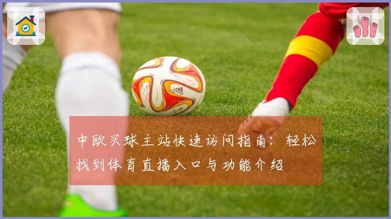 中欧买球主站快速访问指南：轻松找到体育直播入口与功能介绍