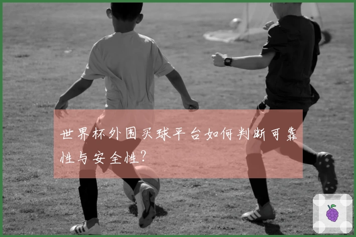 世界杯外围买球平台如何判断可靠性与安全性？