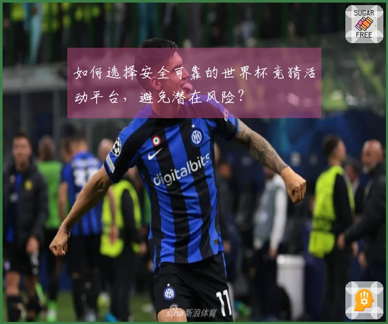 如何选择安全可靠的世界杯竞猜活动平台，避免潜在风险？