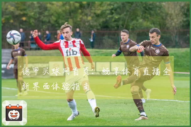 德甲买球网首页：畅享体育直播全新界面体验指南