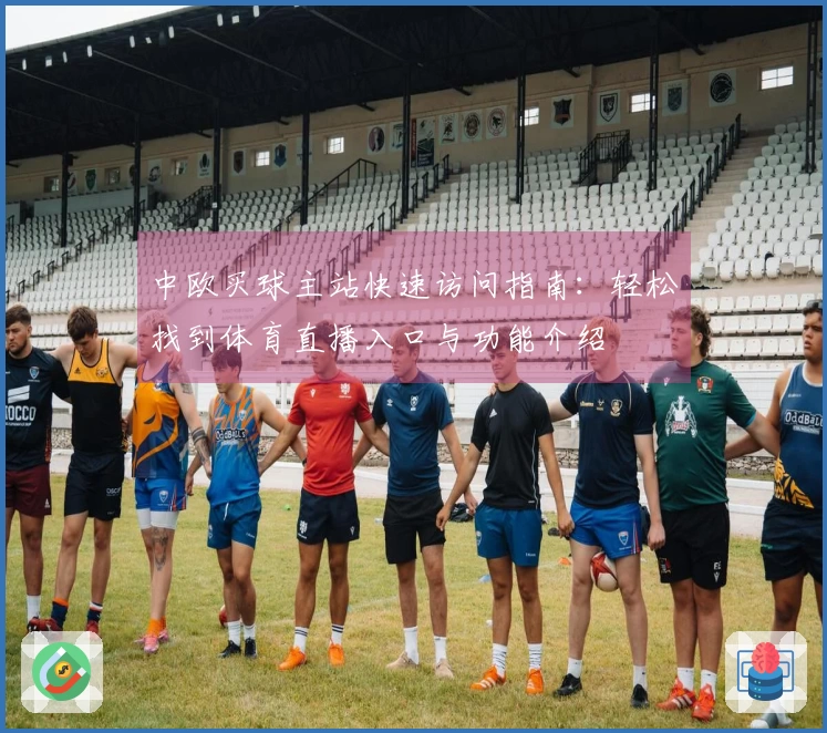 中欧买球主站快速访问指南：轻松找到体育直播入口与功能介绍