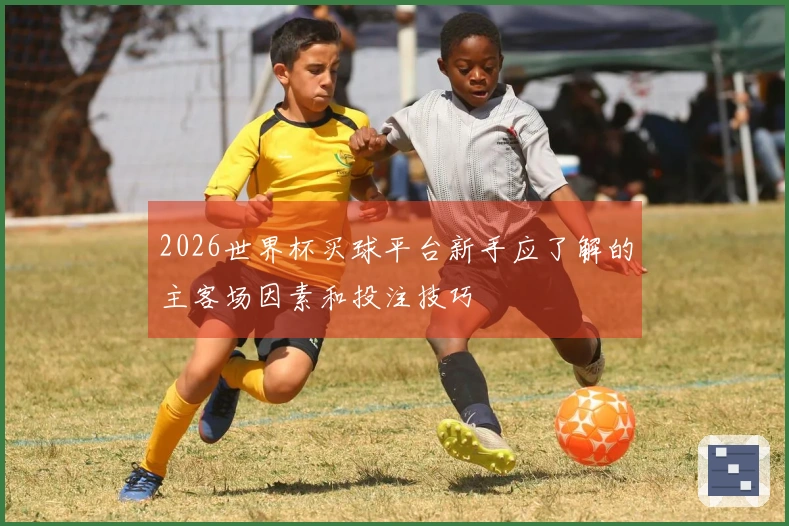 2026世界杯买球平台新手应了解的主客场因素和投注技巧