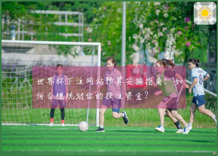 世界杯下注网站预算安排指南：如何合理规划你的投注资金？