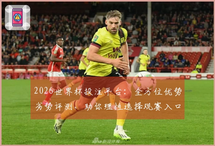2026世界杯投注平台：全方位优势劣势评测，助你理性选择观赛入口