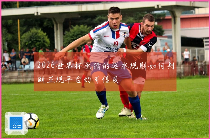 2026世界杯竞猜的返水规则如何判断正规平台的可信度